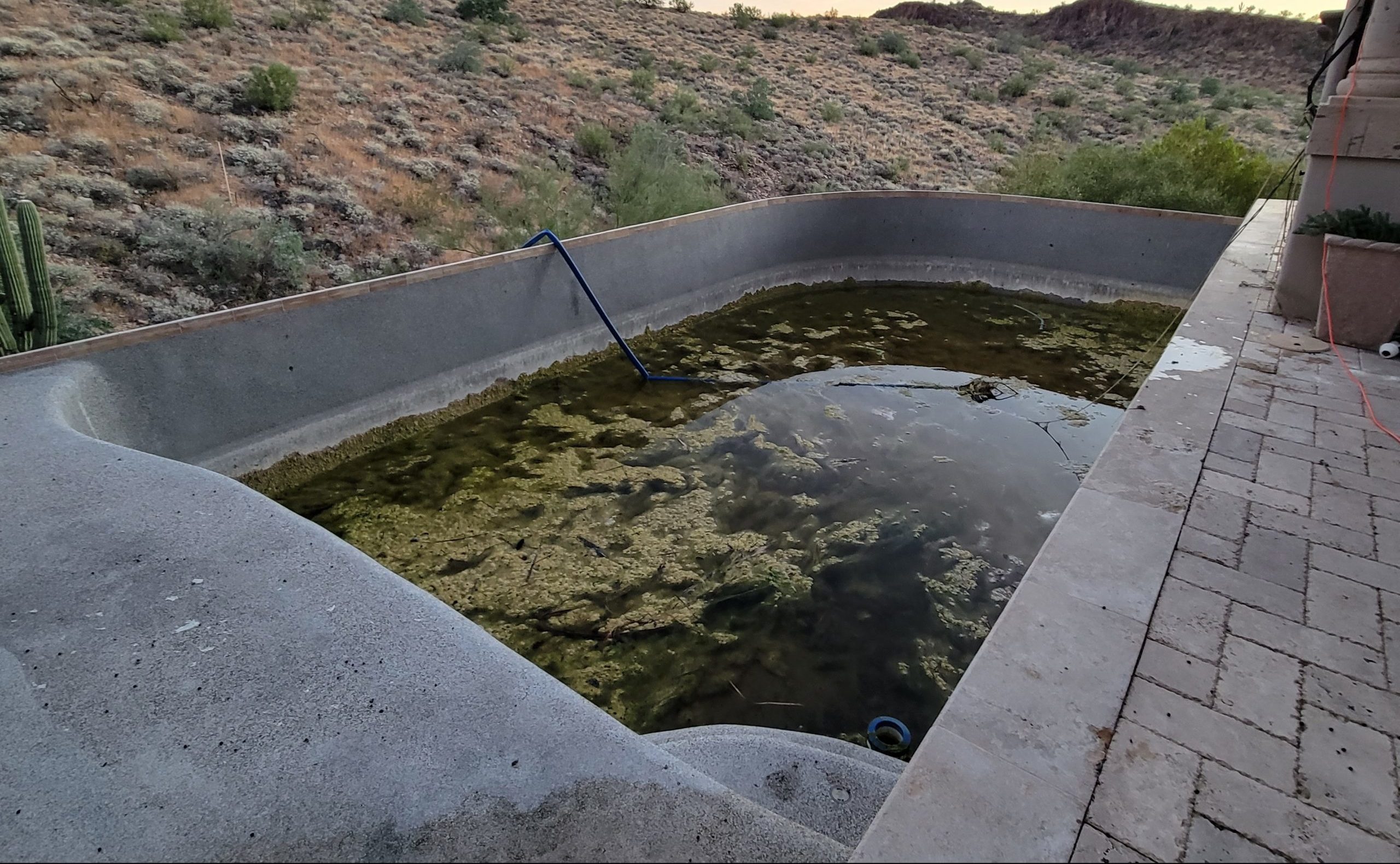 Luxury-Negative-Edge-Pool-Remodel-before-2-scaled-e1744092919133